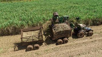 Sugar cane harvest in sunny day in Brazil. Aerial view. photo