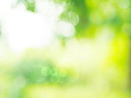 Abstract natural bokeh sunlight background tree stock photo