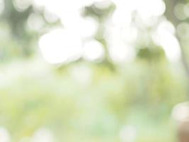 Abstract natural bokeh sunlight background tree stock photo