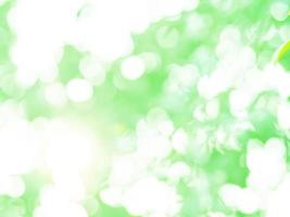 Abstract natural bokeh sunlight background tree stock photo