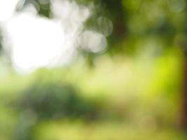 Abstract natural bokeh sunlight background tree stock photo