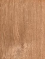 roble blanco, color marrón madera pared material rebaba superficie textura fondo patrón abstracto madera, vista superior escena foto