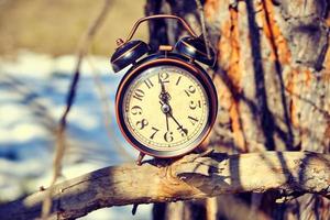 Old retro alarm clock in the forest on a branch on a bright, warm spring day. photo