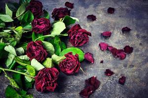 Bouquet of faded red roses with dead petals on the floor. photo
