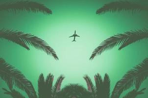 Silhouette of a plane taking off and tropical palm trees on a green background. Air travel and recreation in tropics.
