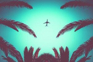 Silhouette of plane taking off and tropical palm trees on turquoise background. Air travel and recreation in tropics.