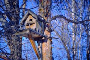 Birdhouse on a tree, tree house.Nature, parks and forests. photo