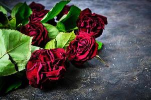 Bouquet of wilted red roses is thrown on the dirty floor.