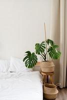 Space at home with bed, monstera and laundry baskets photo