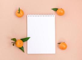 An empty white notebook and tangerines on a peach background. Template with space for text, planning concept, or mockup.