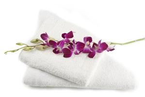 Orchid on towels photo