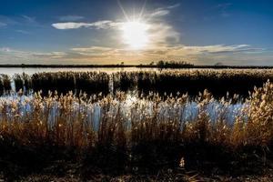 2021 11 27 Delta del Po river delta photo