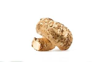 Fresh Shiitake mushroom isolated on white background with clipping path and full depth of field. photo