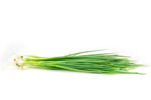 spring onion Isolated on White Background photo