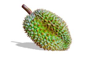 Close-up Durian fruit isolate on white background. photo