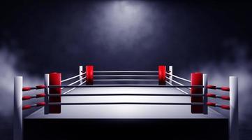 Professional boxing ring. 3d render photo