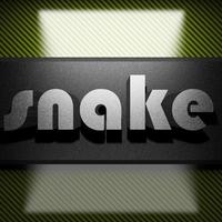 snake word of iron on carbon photo