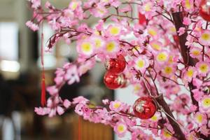 Pink Cherry Blossoms with Chinese ornaments on a blur cafe background photo
