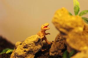 Aquarium display containing dinosaur toys with various expressions photo