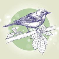 Bird perched on a branch, Ink drawing, Hand drawn illustration, Vector