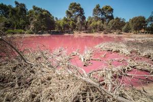 The scenery view of the Salt Pink lake at West gate park in Melbourne, Victoria state of Australia. photo