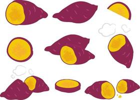 vector colorido conjunto de batatas aislado en blanco. batata o ñame con piel roja, verduras de caricatura usadas para afiches, sitios web, folletos, etiquetas