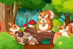 Scene with squirrels in forest vector