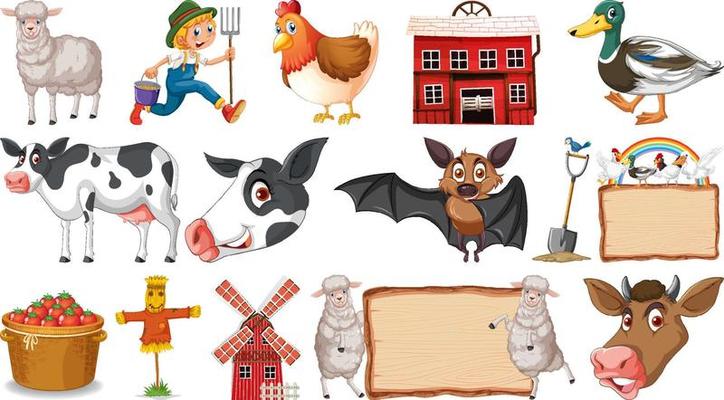 Set of farm animals on white background