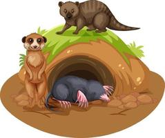 Wild animals cartoon character with burrow vector