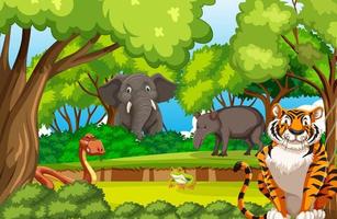 Forest scene with various wild animals vector