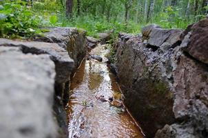 río de montaña en las rocas en el fondo del bosque. foto