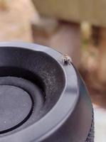 muy pequeña araña sobre un altavoz usb foto