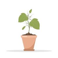 Seedling of cucumbers in a pot. Growing gardening plants. Vegetarian and ecological products. Vector illustration in flat cartoon style