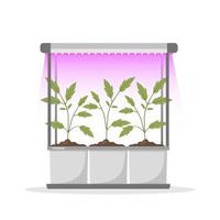 Spring seedlings in pots under phyto lamp. Growing gardening plants with purple light. Vegetarian and ecological products. Vector illustration in flat cartoon style. Plant care concept