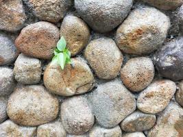 Photo Background abstract arrangement of pebbles