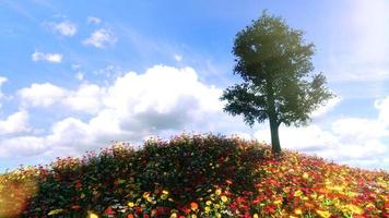 campos de flores y grandes árboles que reciben la luz del sol durante el día. cielo brillante y nubes renderizado 3d foto