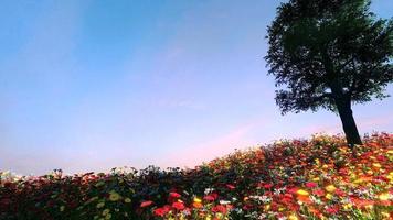 Fields of flowers and large trees that receive the sunlight during the day. bright sky and clouds 3d rendering photo