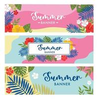 conjunto de banner de flores de verano vector