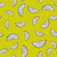 Seamless pattern engraved slice lemon. Vintage background piece lemon or lime in hand drawn style. vector
