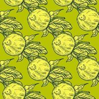 Seamless pattern engraved lemon on twig with leaves. Vintage background citrus fruit on branch in hand drawn style. vector
