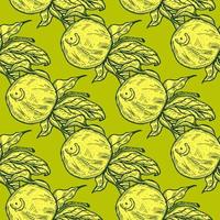 Seamless pattern engraved lemon on twig with leaves. Vintage background citrus fruit on branch in hand drawn style. vector