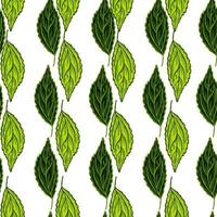 Seamless pattern engraved tree leaves. Vintage background botanical with foliage in hand drawn style. vector