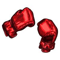 Red boxing gloves sketch in isolated white background. Vintage sporting equipment for kickboxing in engraved style. vector