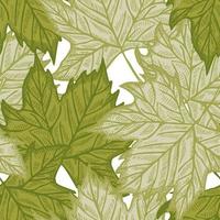 Leaves maple engraved seamless pattern. Green background summer botanical with canadian foliage in hand drawn style. vector