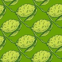 Seamless pattern lemon on branch with leaves engraving. Vintage background of citrus fruits in hand drawn style. vector