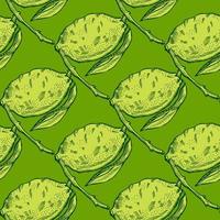 Seamless pattern lemon on branch with leaves engraving. Vintage background of citrus fruits in hand drawn style. vector