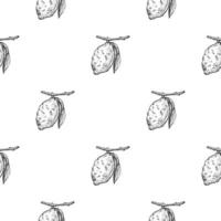 Seamless pattern lemon on branch with leaves engraving. Vintage background of citrus fruits in hand drawn style. vector