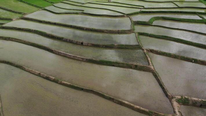 田地影片