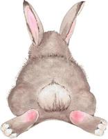 Cute easter bunny sitting backwards, watercolor hand painted illustration. vector