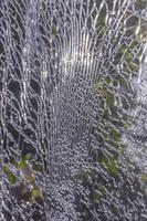 The windshield of a car was cracked by an accident while driving on the road. photo